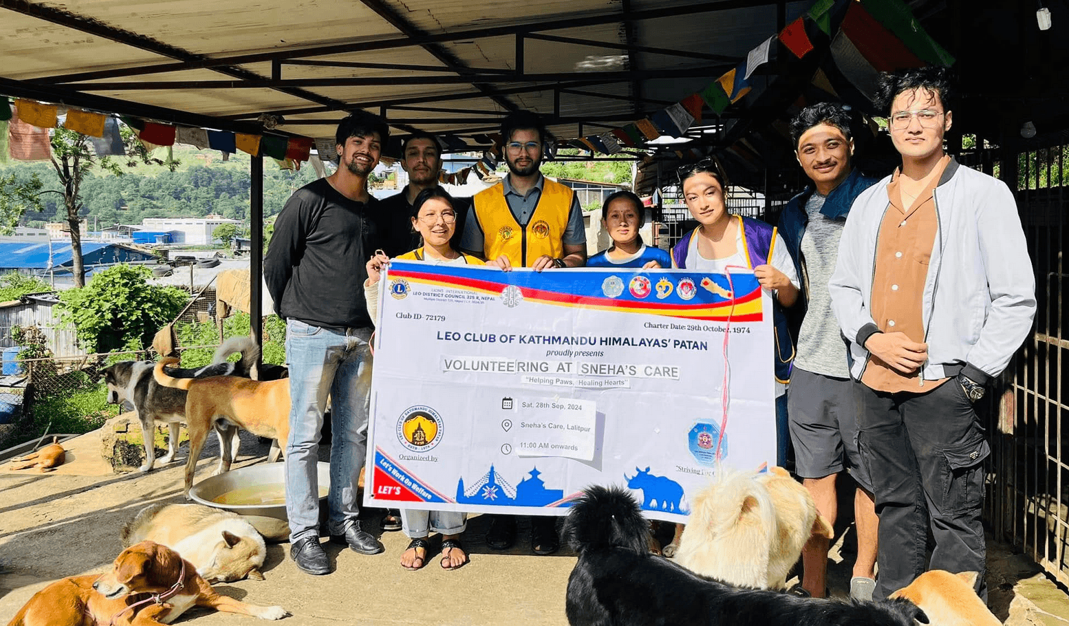 Paw-sitive Care: Making a Difference at Sneha's Care Animal Shelter